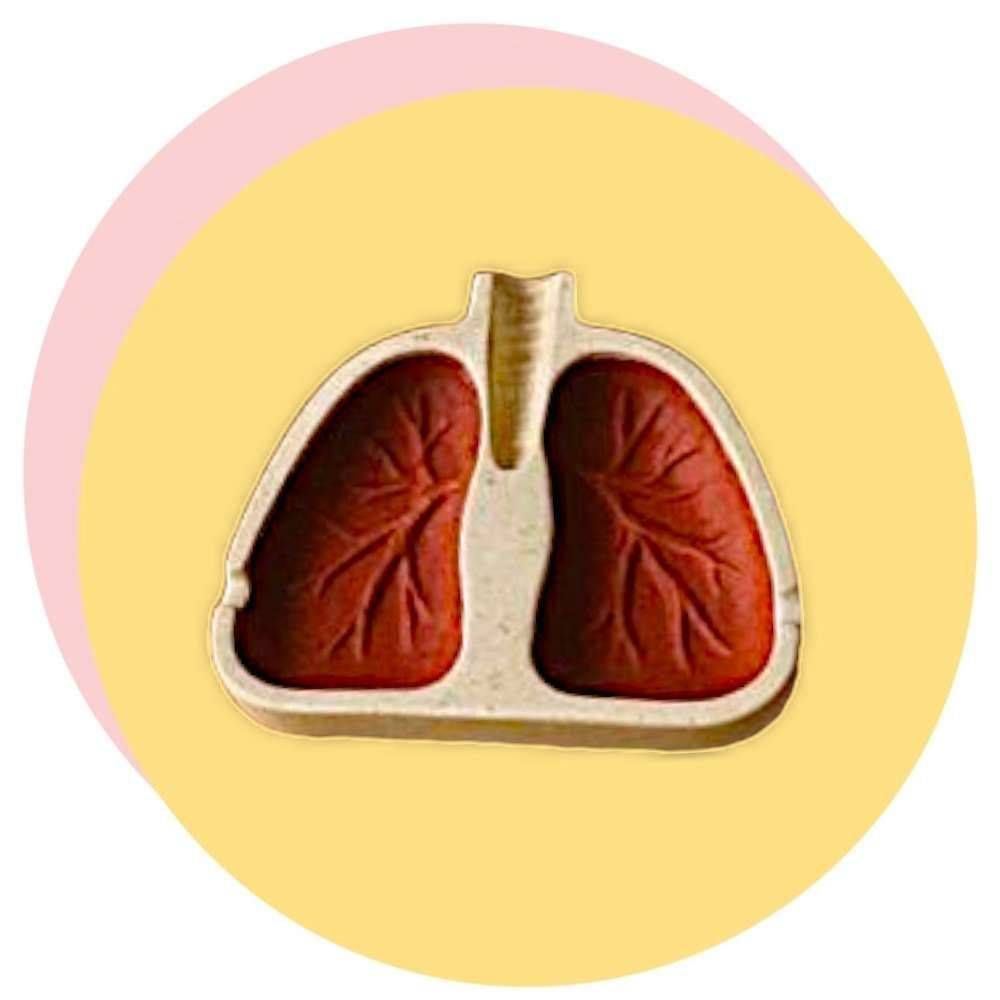قالب طلقی جاسیگاری ریه